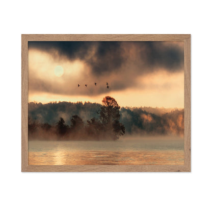 Birds Over Mist Lake