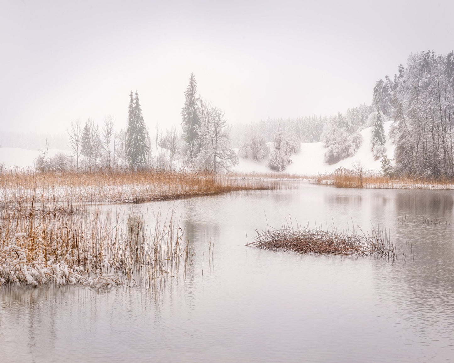 Snowy Lake Calm