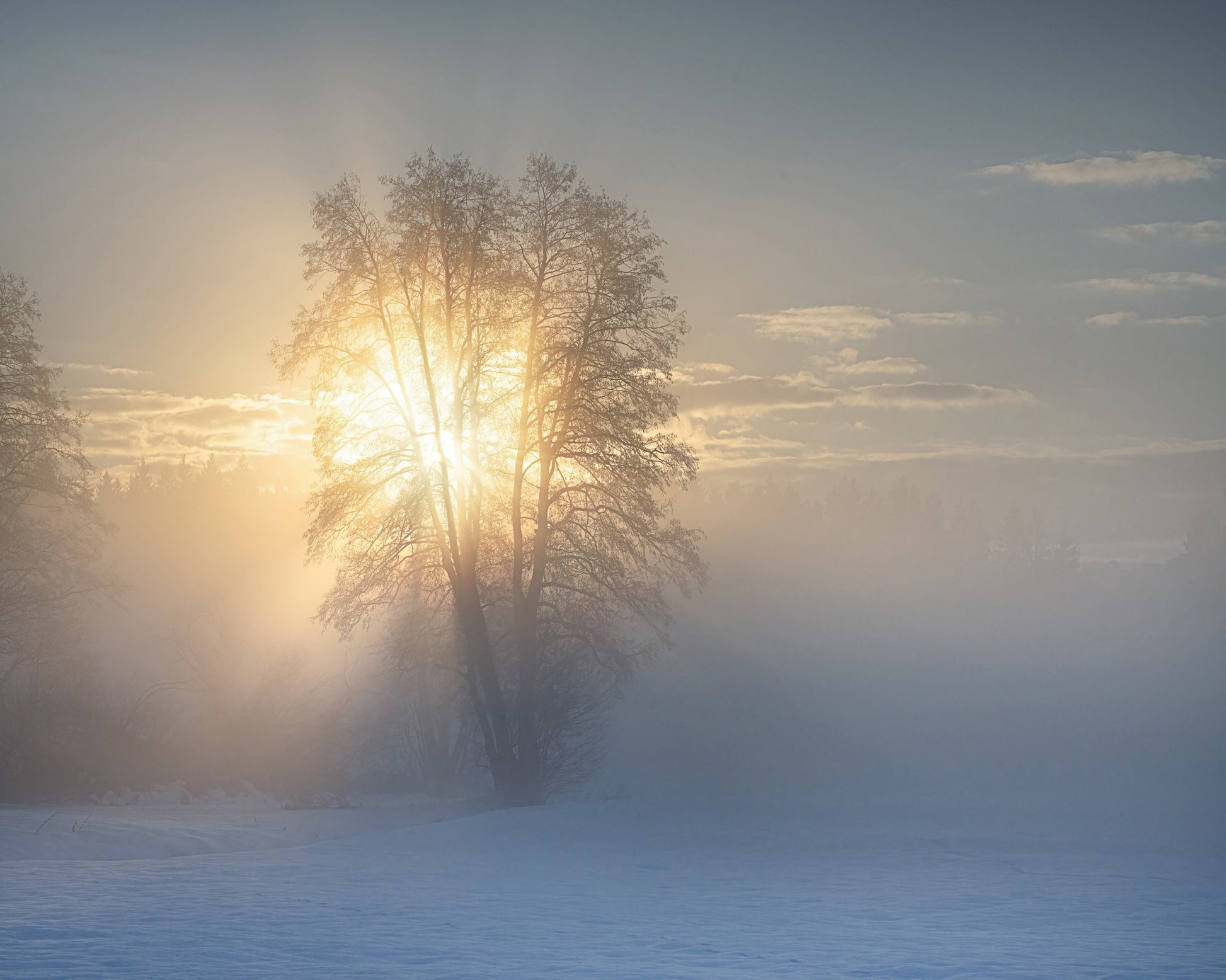 Winter Sun Glow