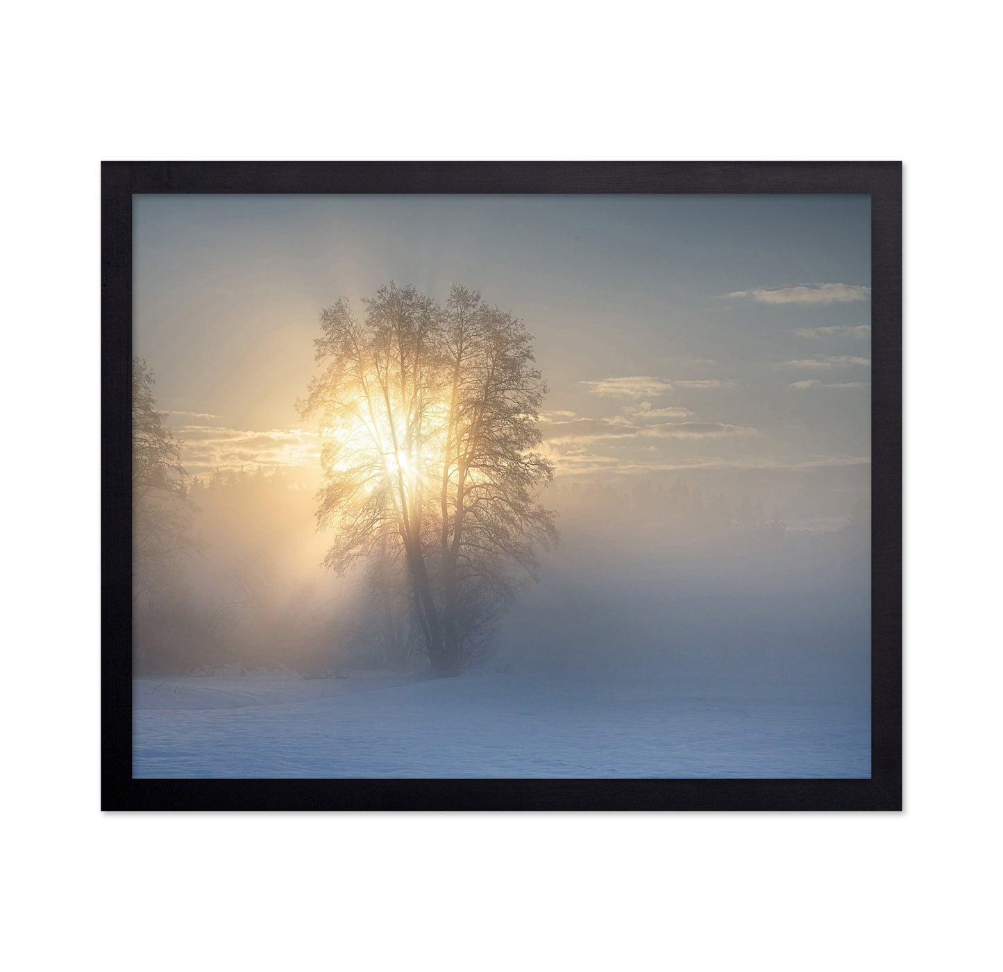 Winter Sun Glow