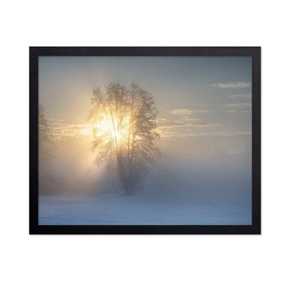 Winter Sun Glow