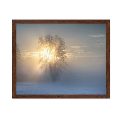 Winter Sun Glow