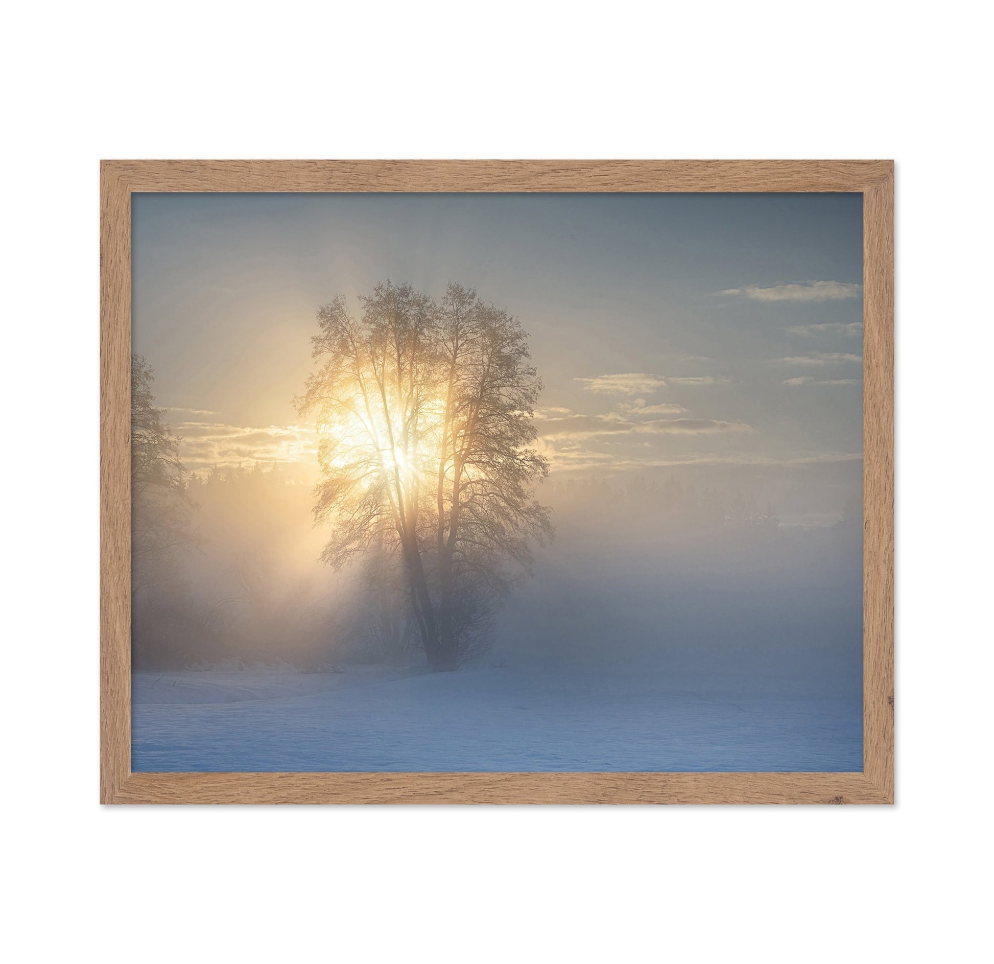 Winter Sun Glow