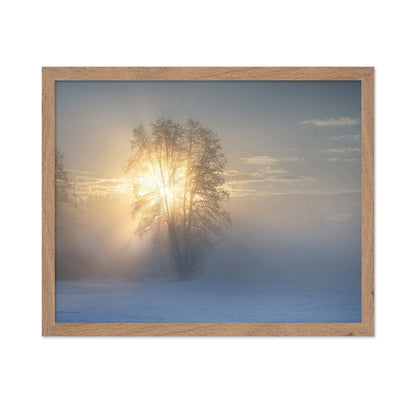 Winter Sun Glow