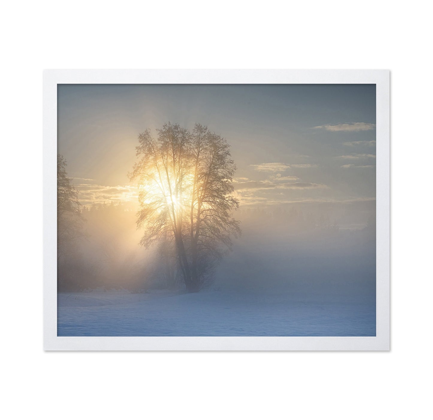 Winter Sun Glow