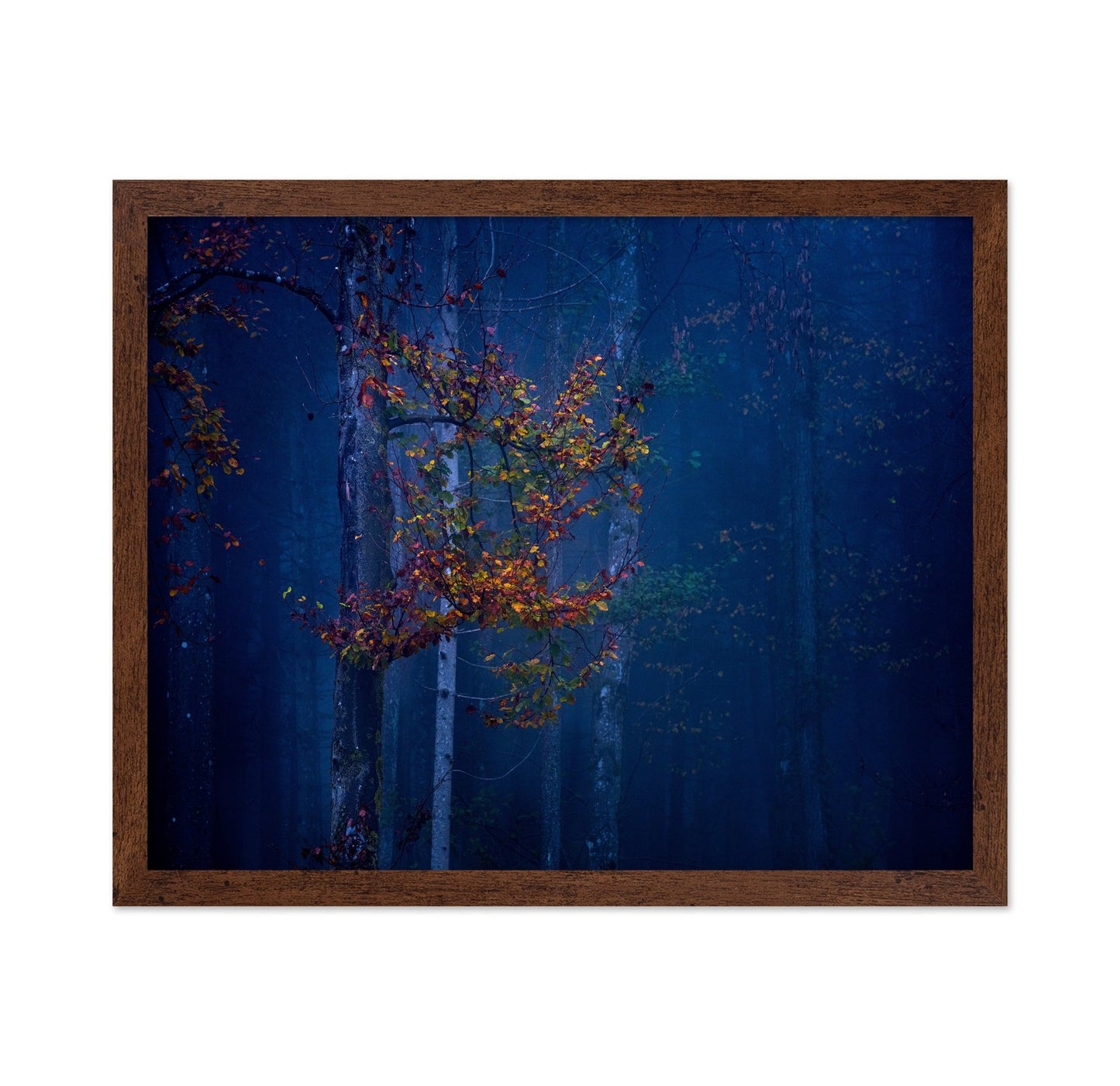 Autumn Leaves Glow