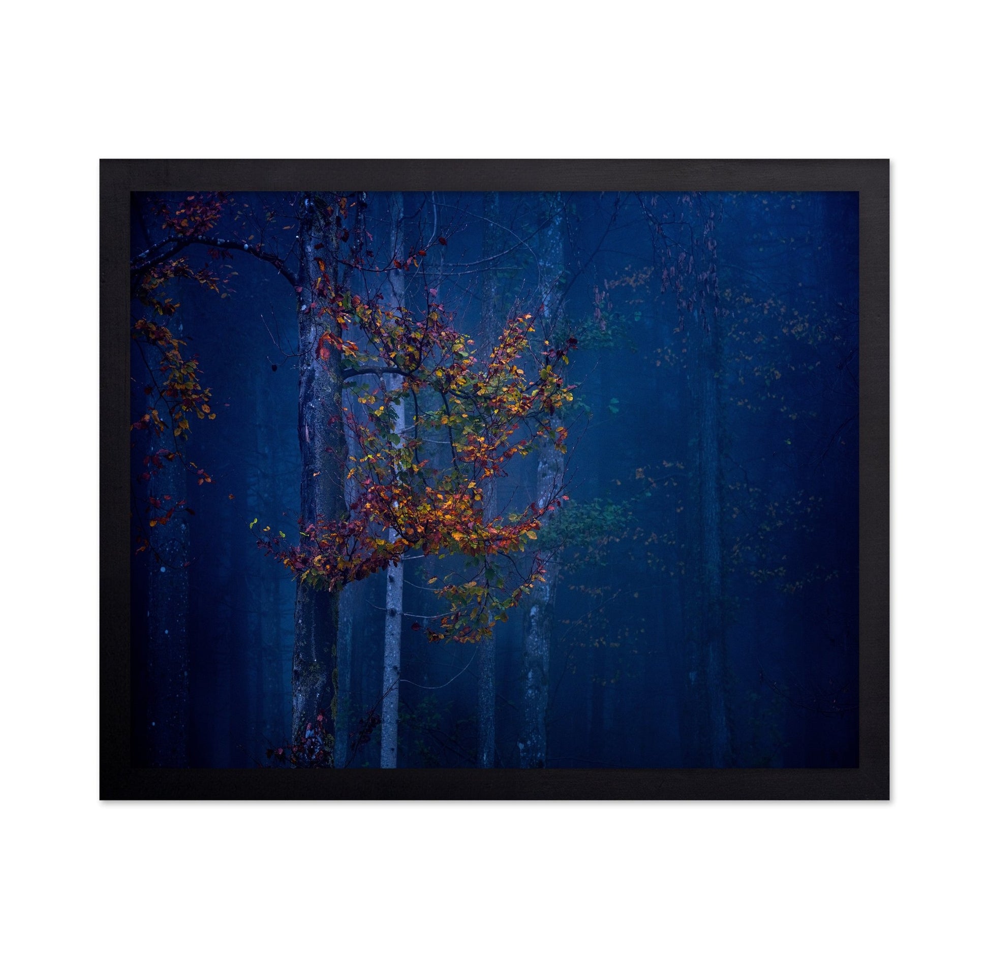 Autumn Leaves Glow