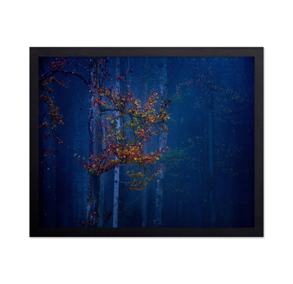 Autumn Leaves Glow