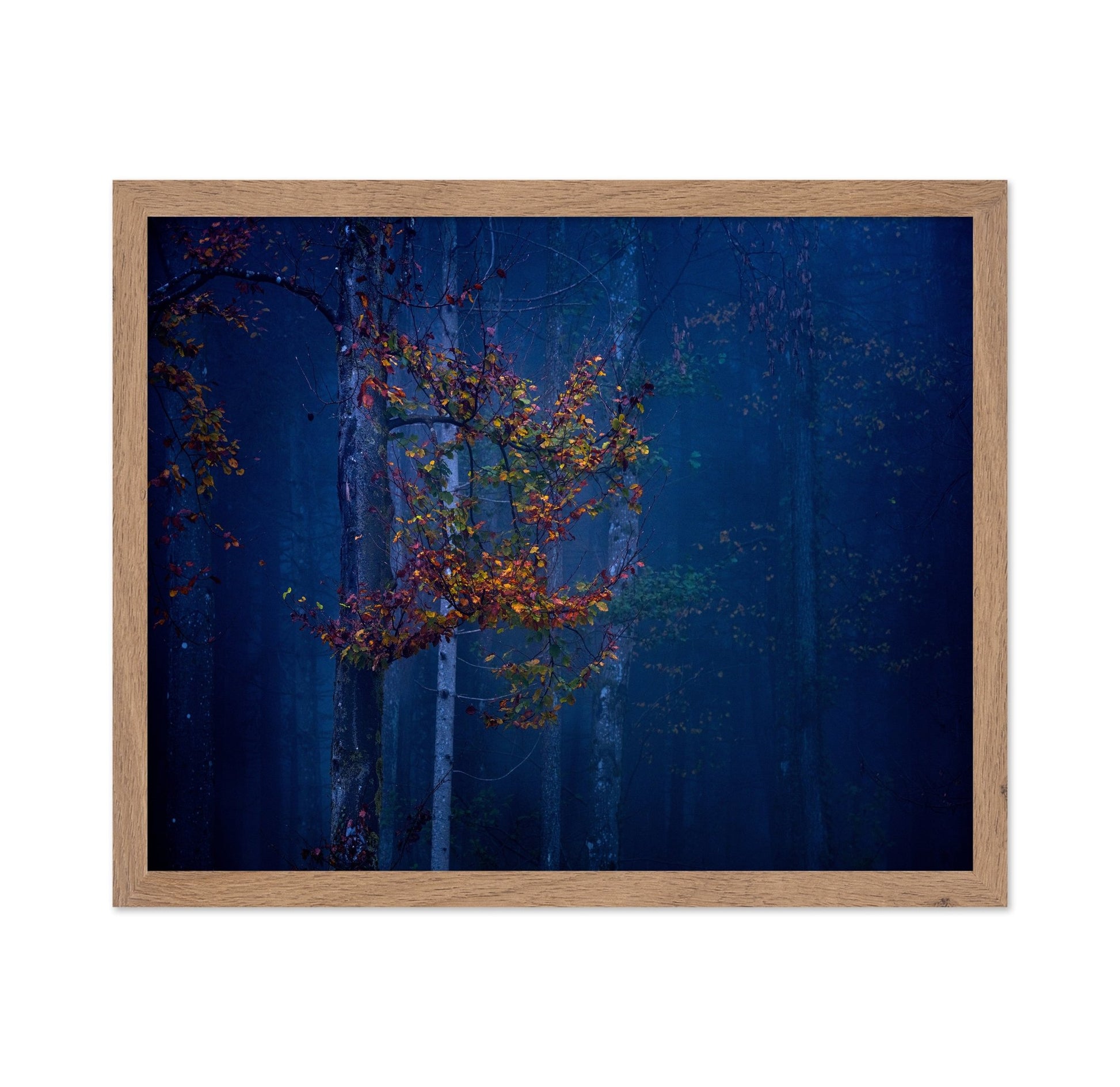Autumn Leaves Glow