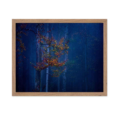 Autumn Leaves Glow