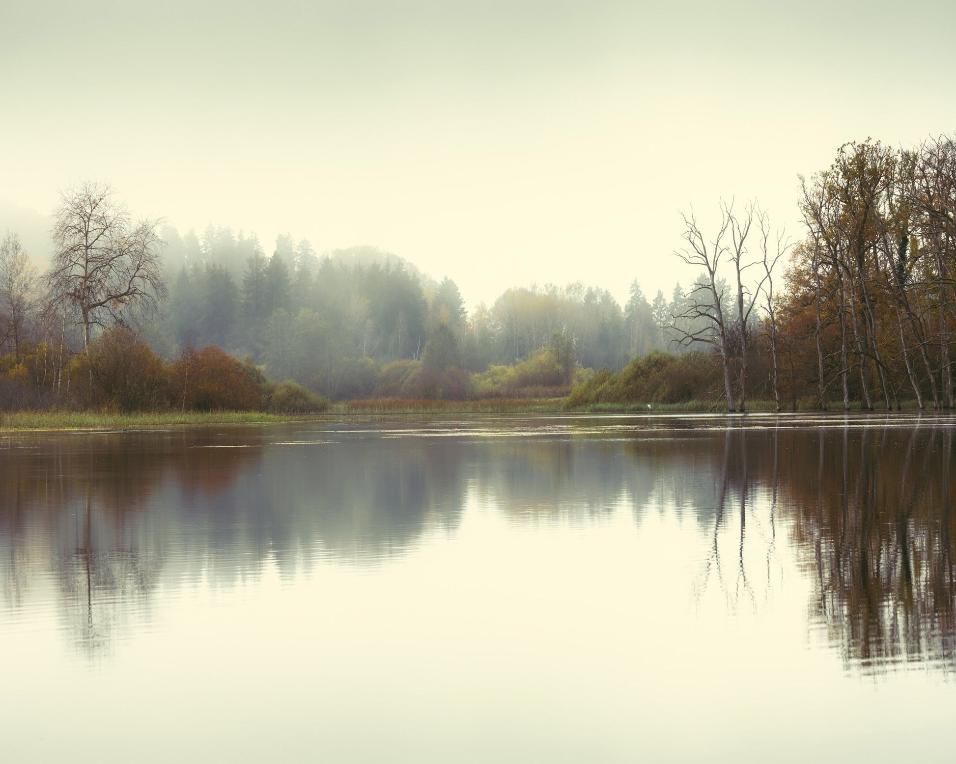 Calm Autumn Lake