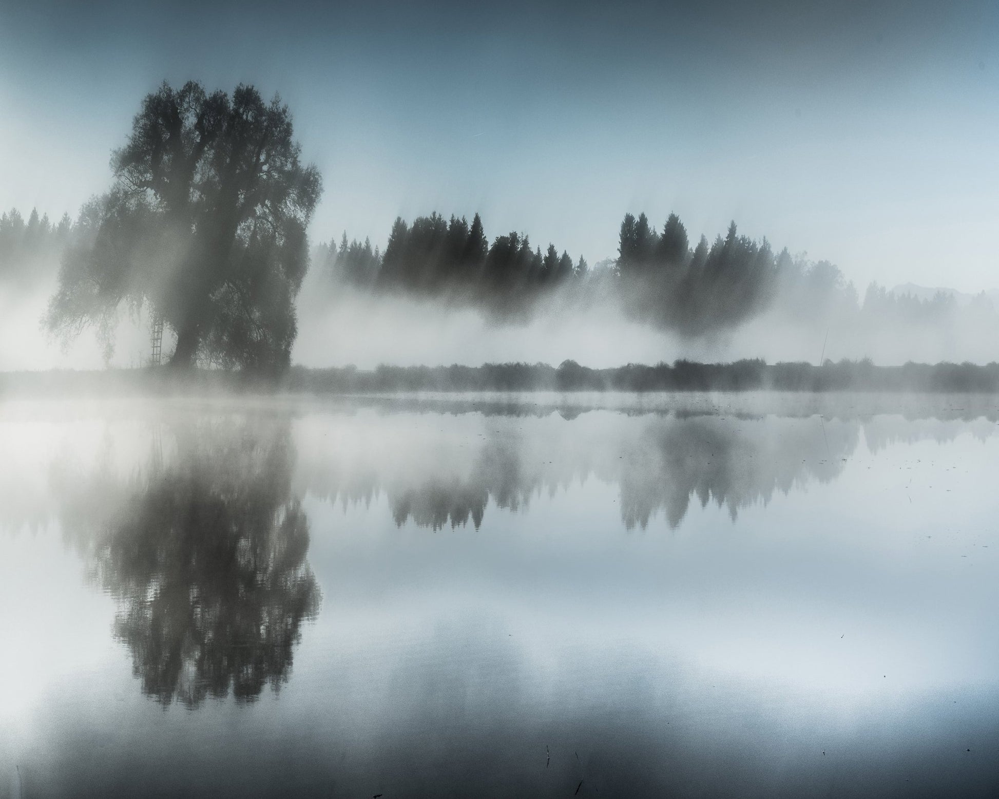 Misty Tree Reflection