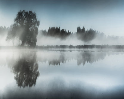 Misty Tree Reflection