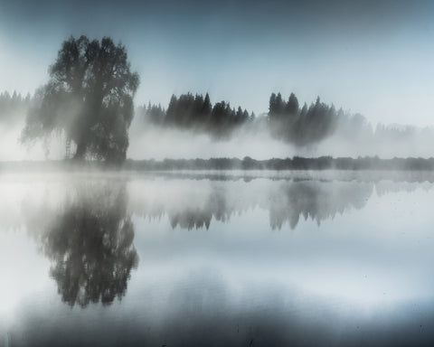 Misty Tree Reflection