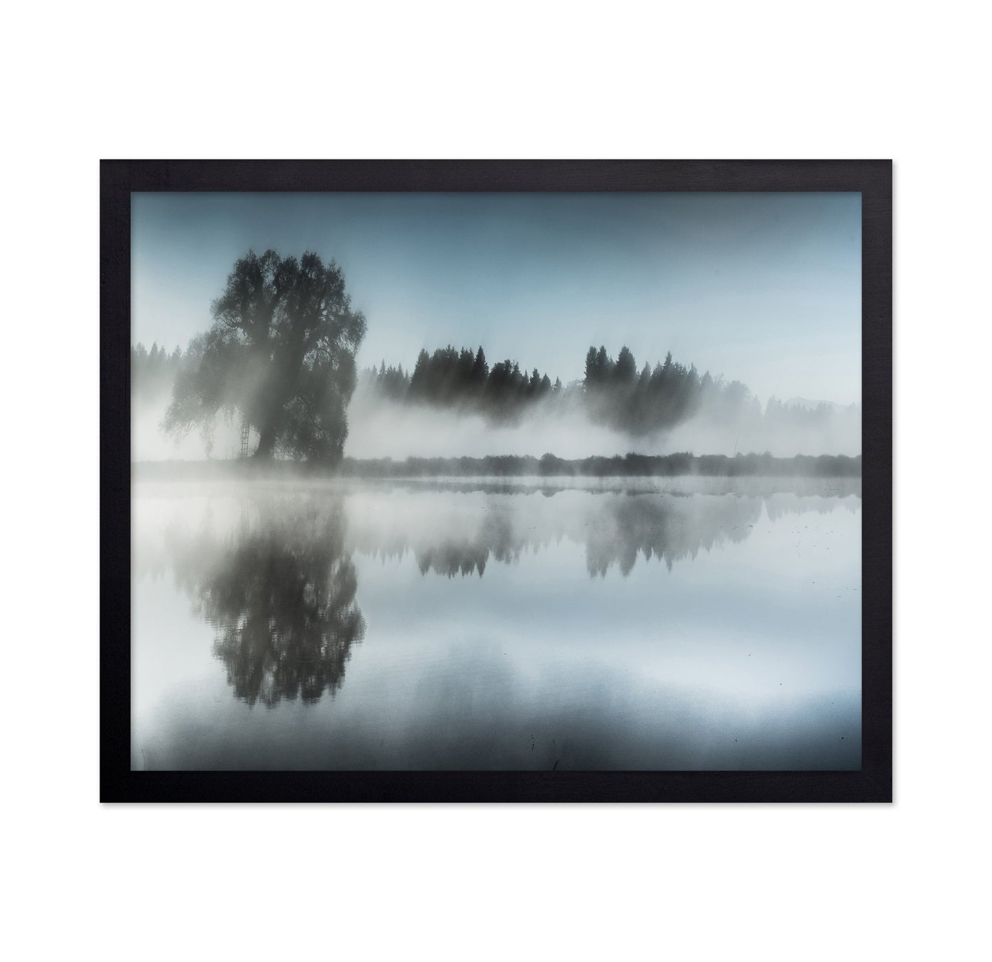 Misty Tree Reflection