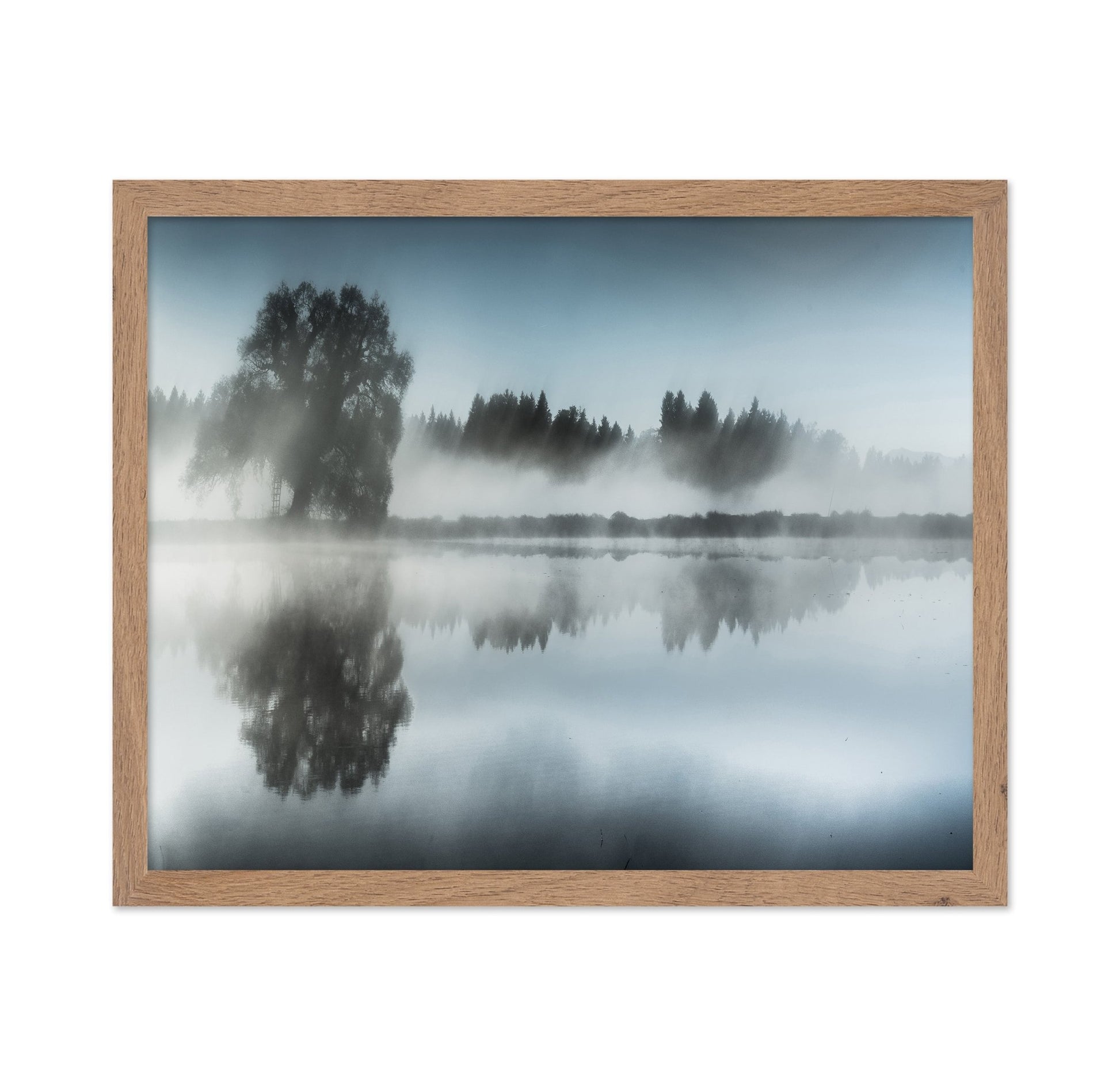 Misty Tree Reflection