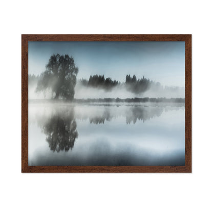 Misty Tree Reflection