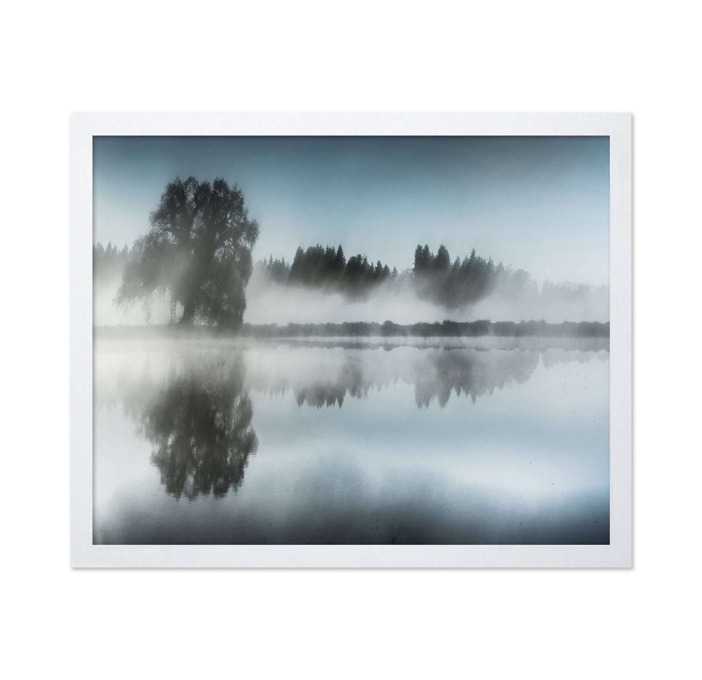 Misty Tree Reflection