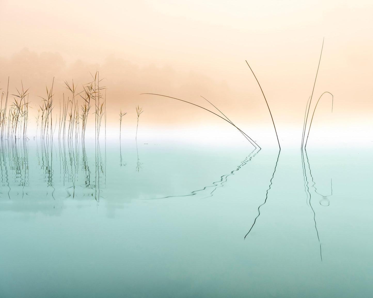 Minimal Reed Reflections