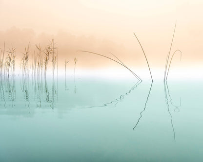 Minimal Reed Reflections
