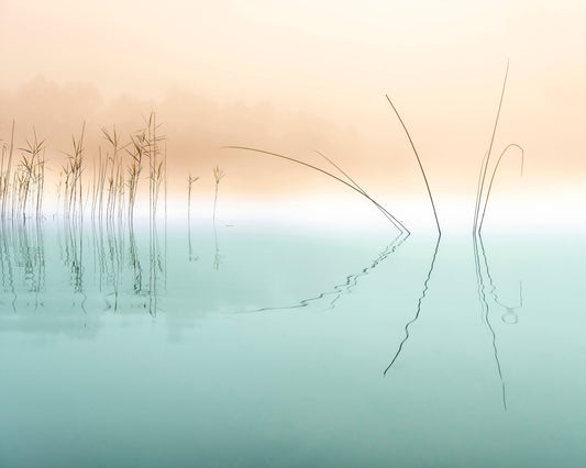 Minimal Reed Reflections