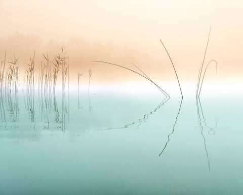 Minimal Reed Reflections