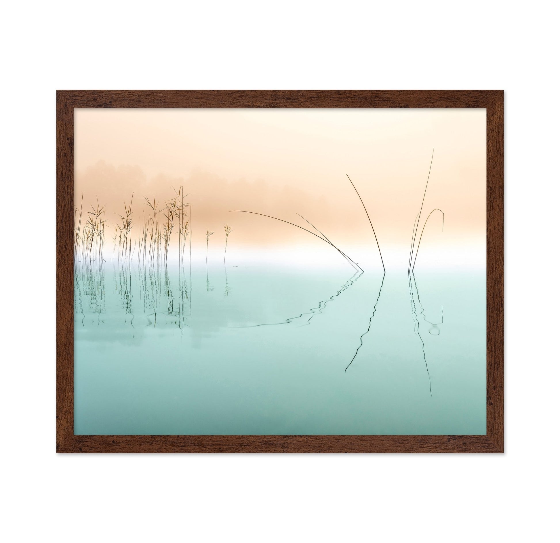 Minimal Reed Reflections