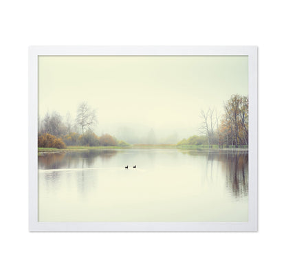 Quiet Lake Ducks
