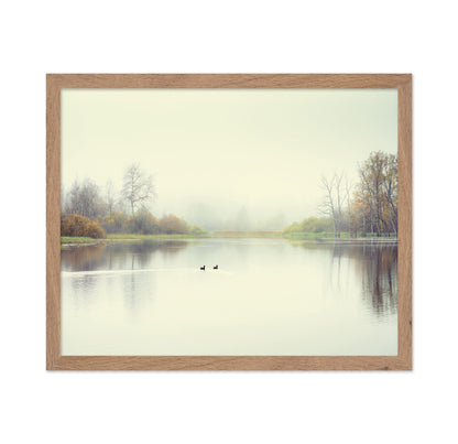 Quiet Lake Ducks