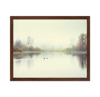 Quiet Lake Ducks