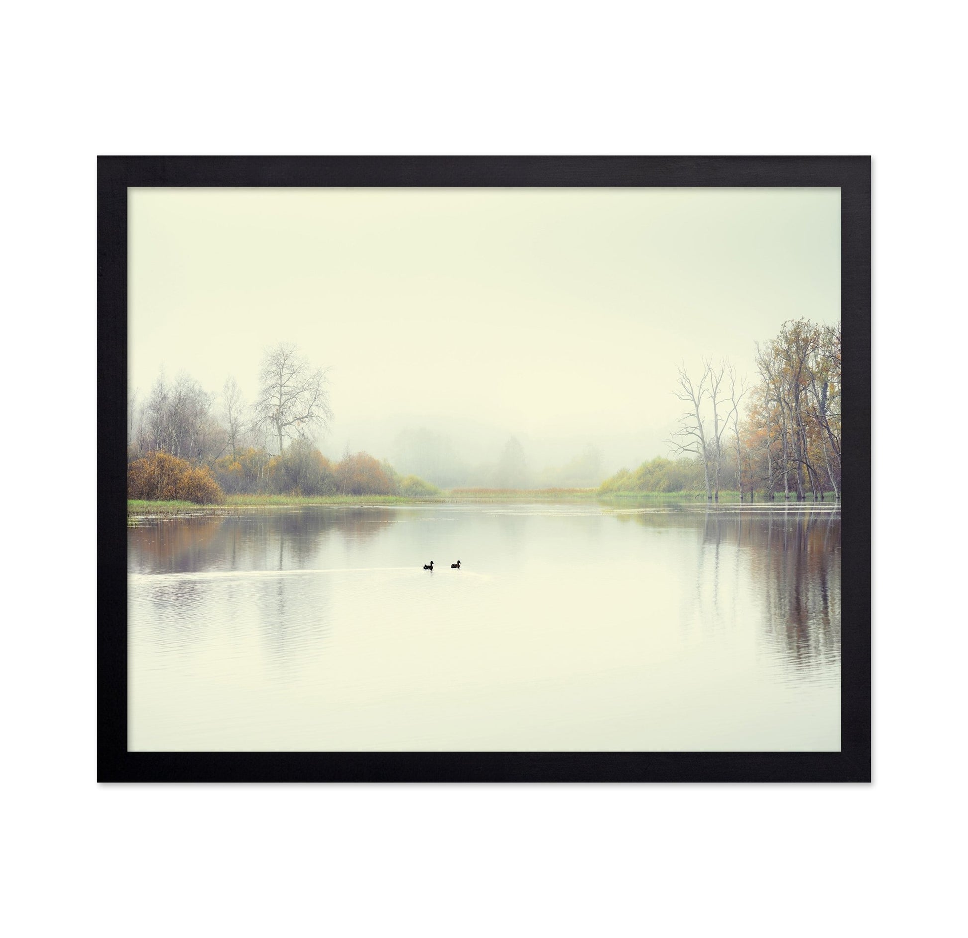 Quiet Lake Ducks