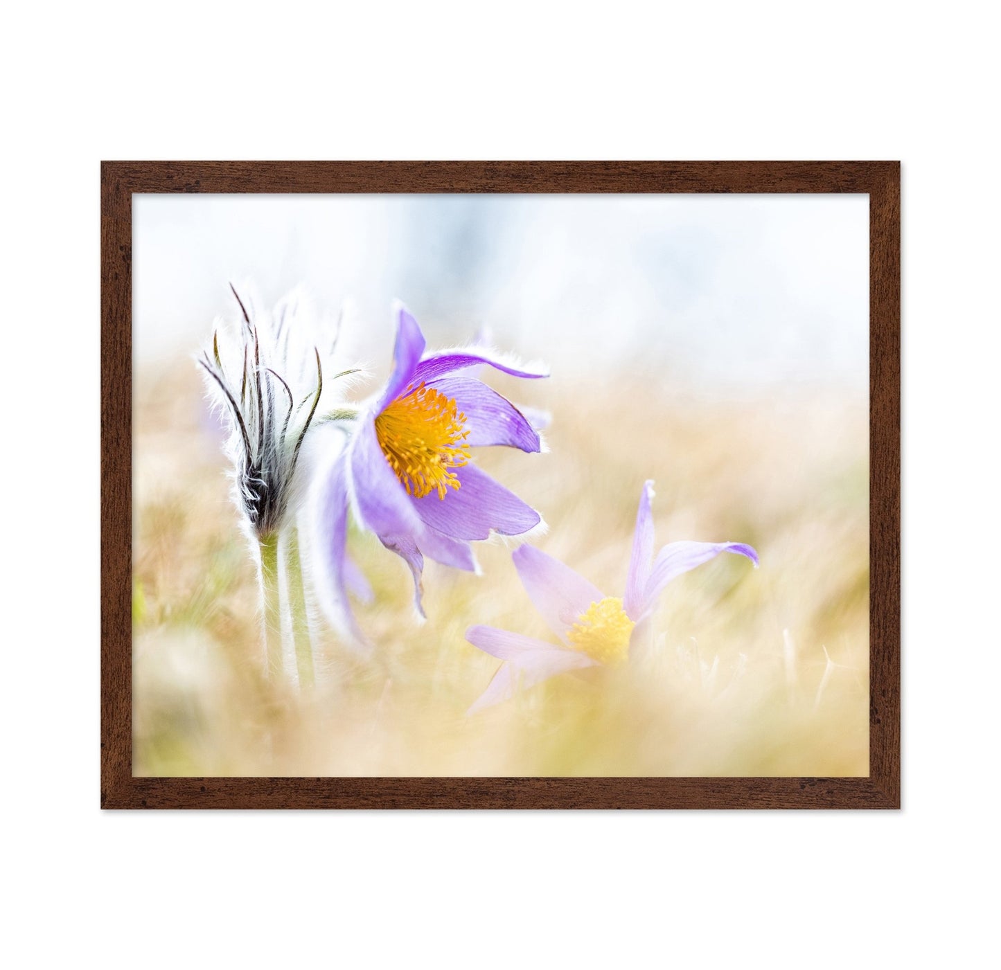 Soft Wildflower Glow