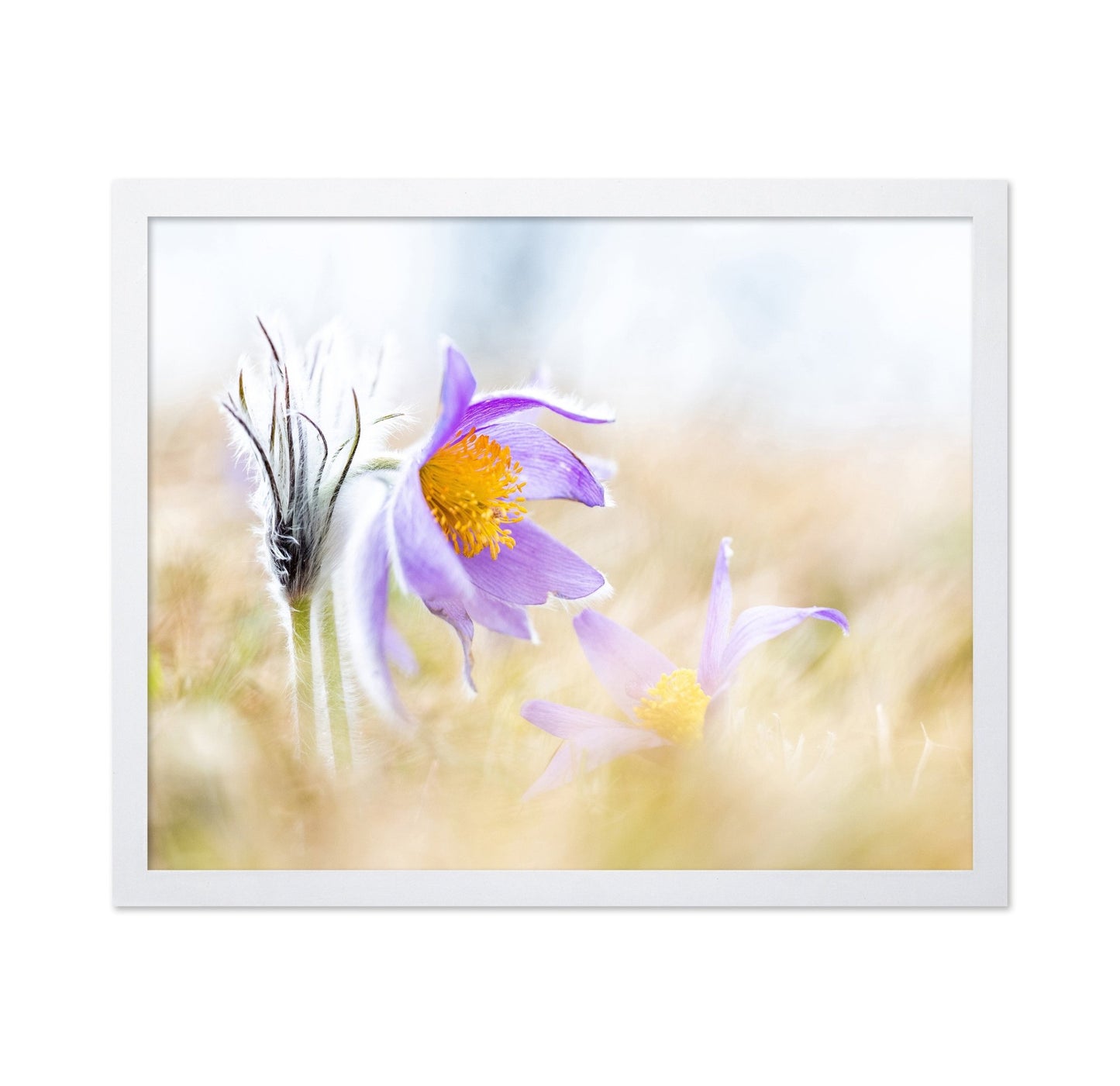 Soft Wildflower Glow