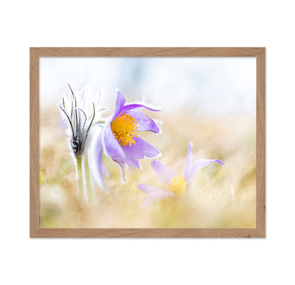 Soft Wildflower Glow