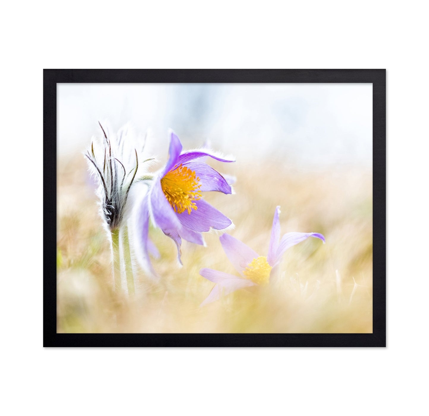 Soft Wildflower Glow