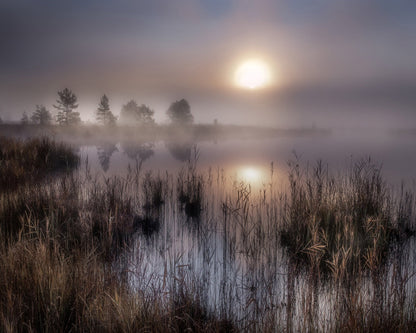 Misty Marsh Sunrise No1