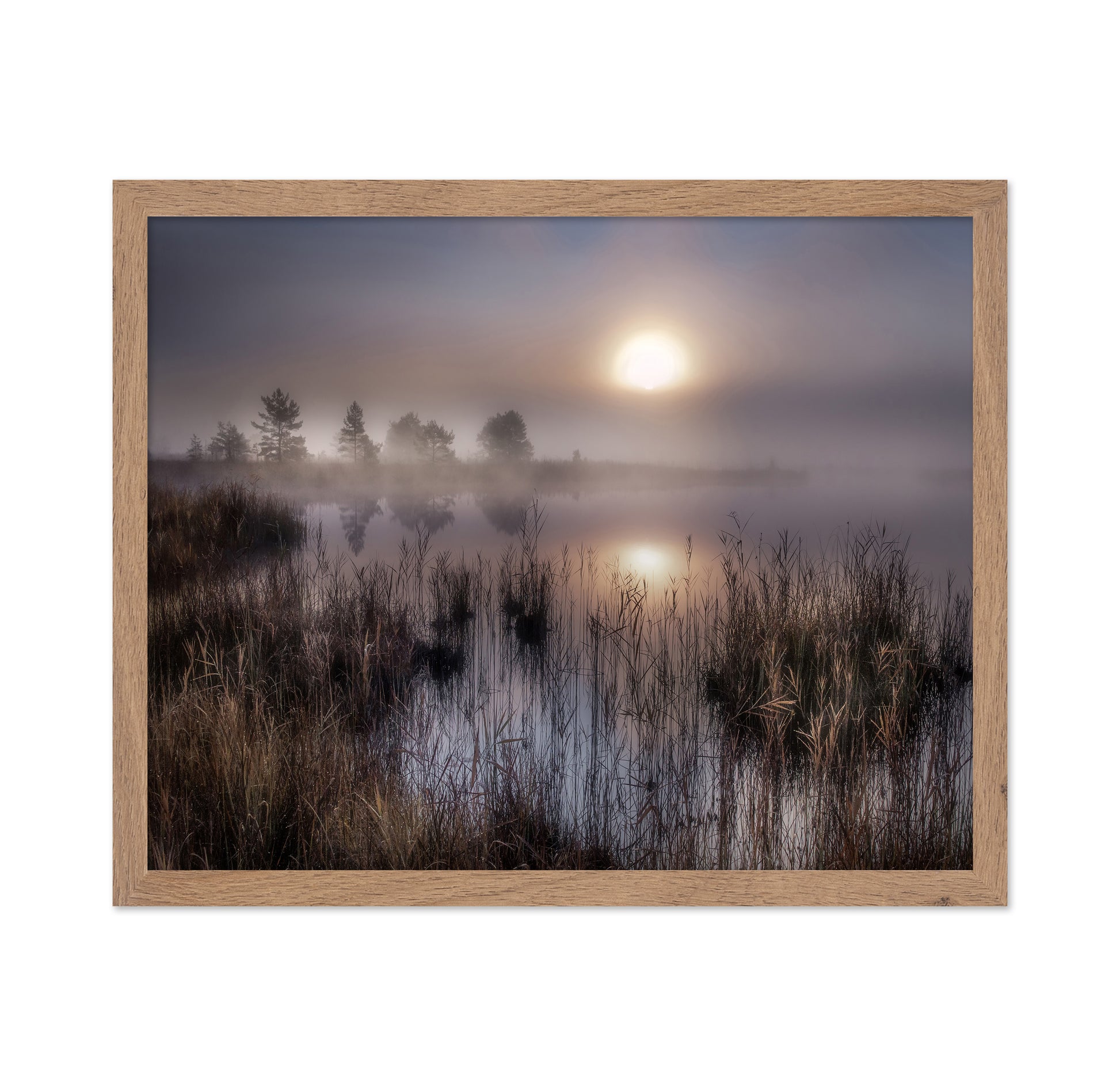 Misty Marsh Sunrise No1