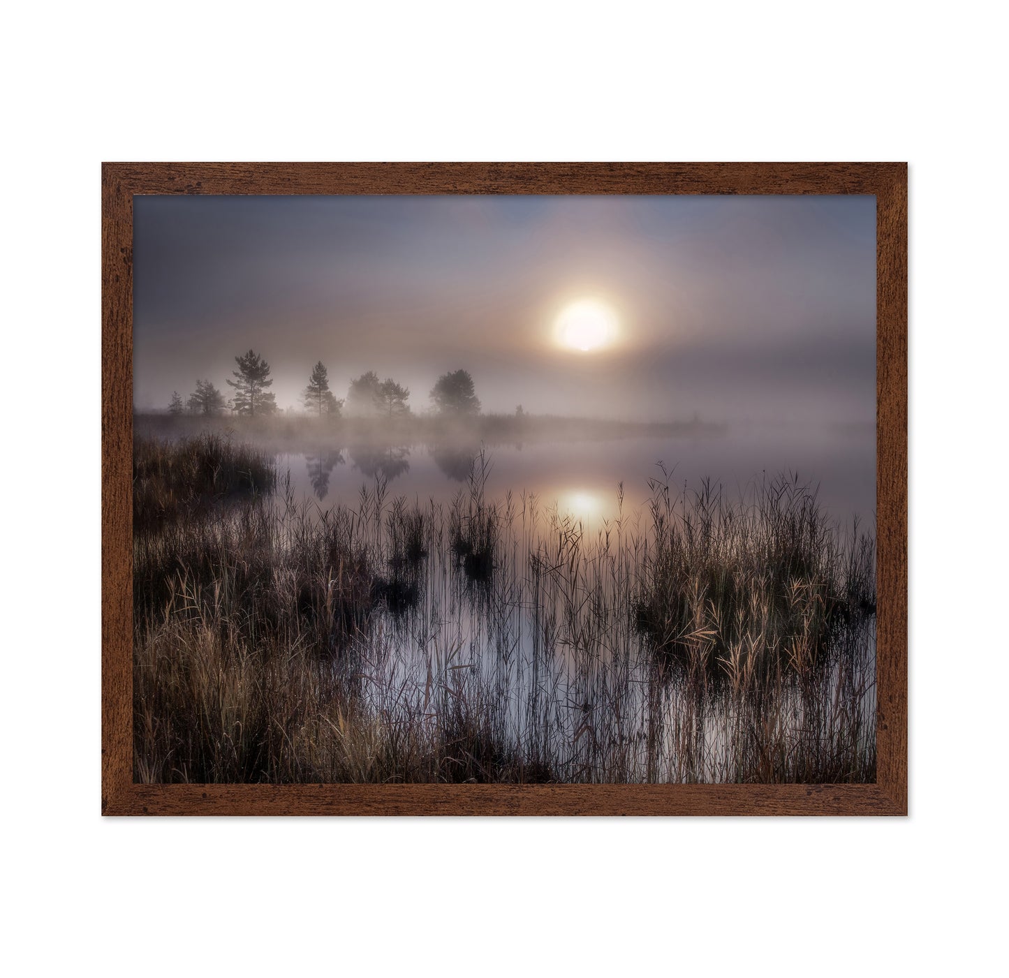 Misty Marsh Sunrise No1