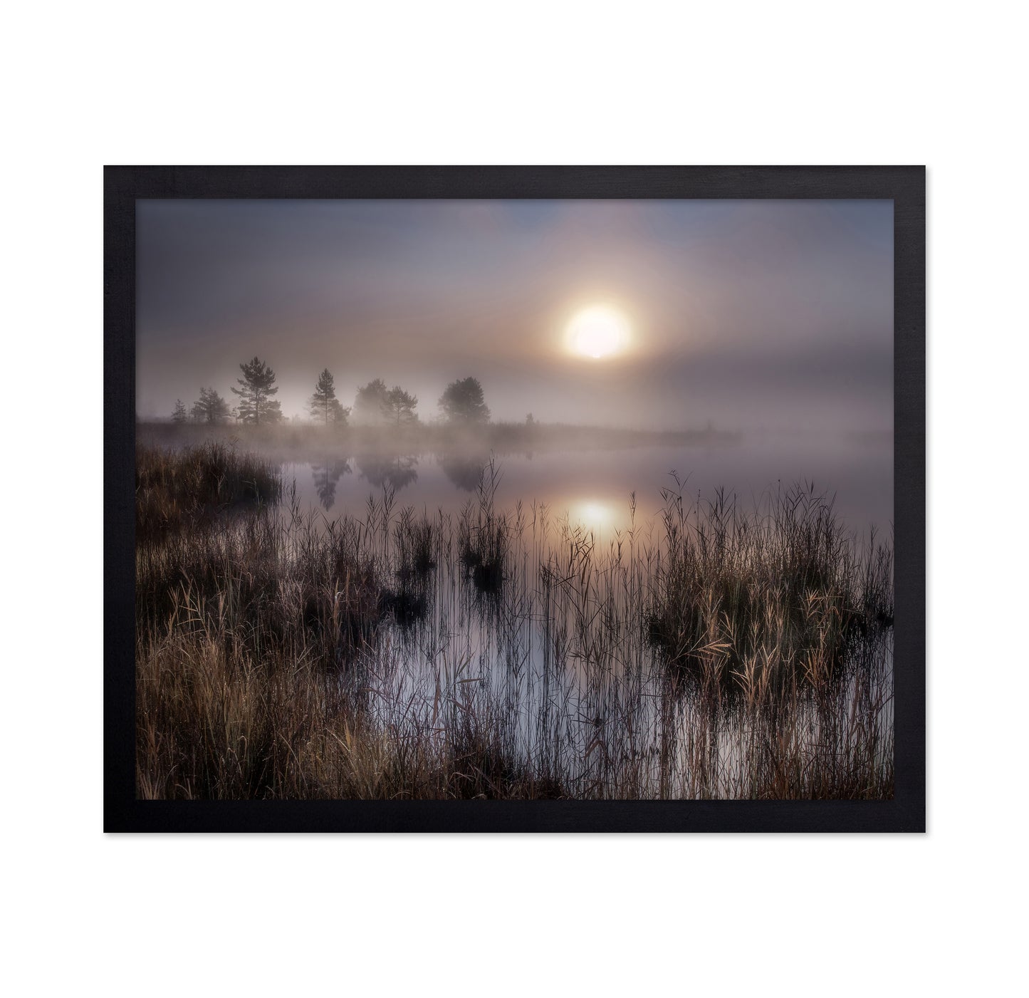 Misty Marsh Sunrise No1