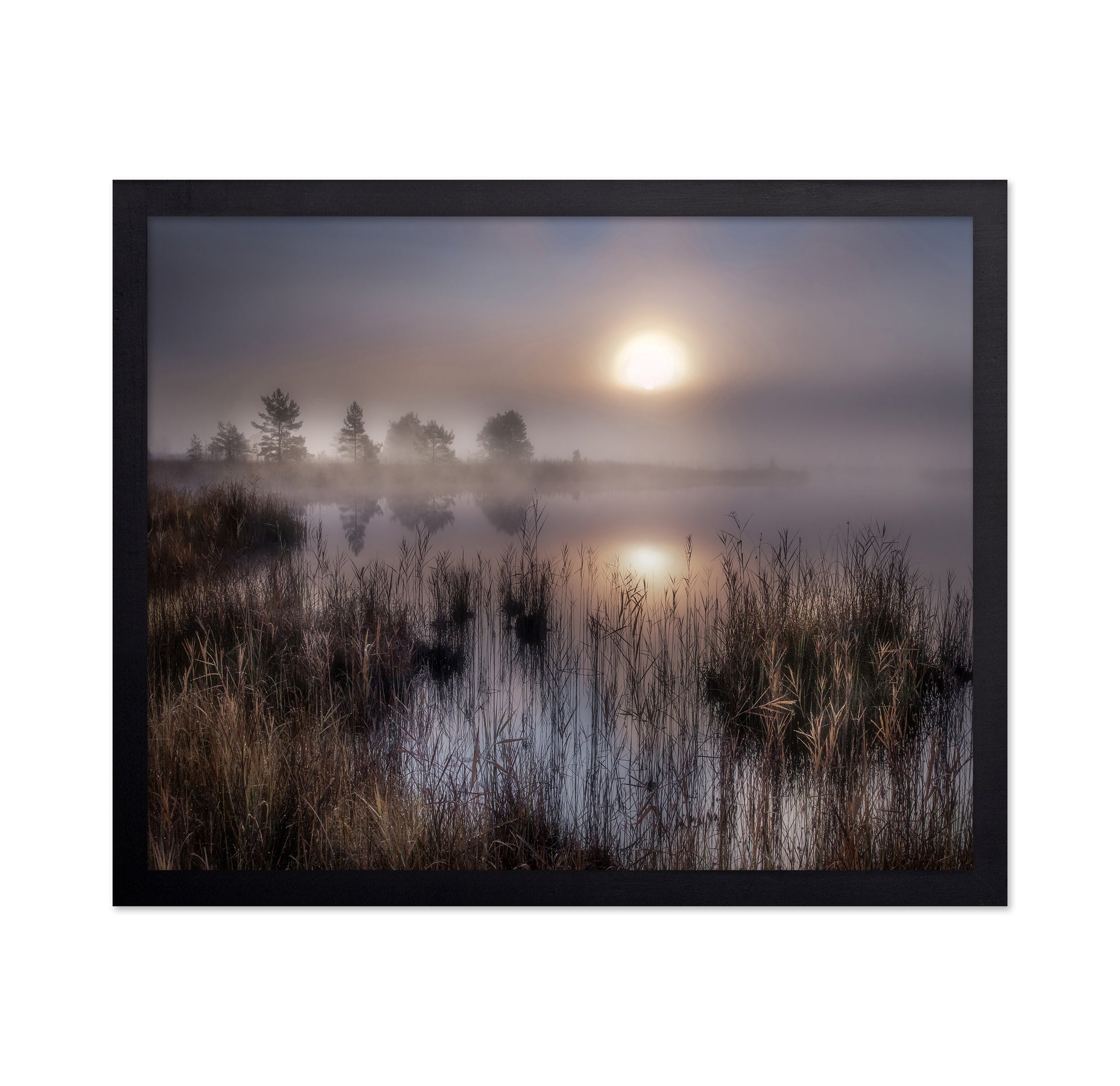 Misty Marsh Sunrise No1