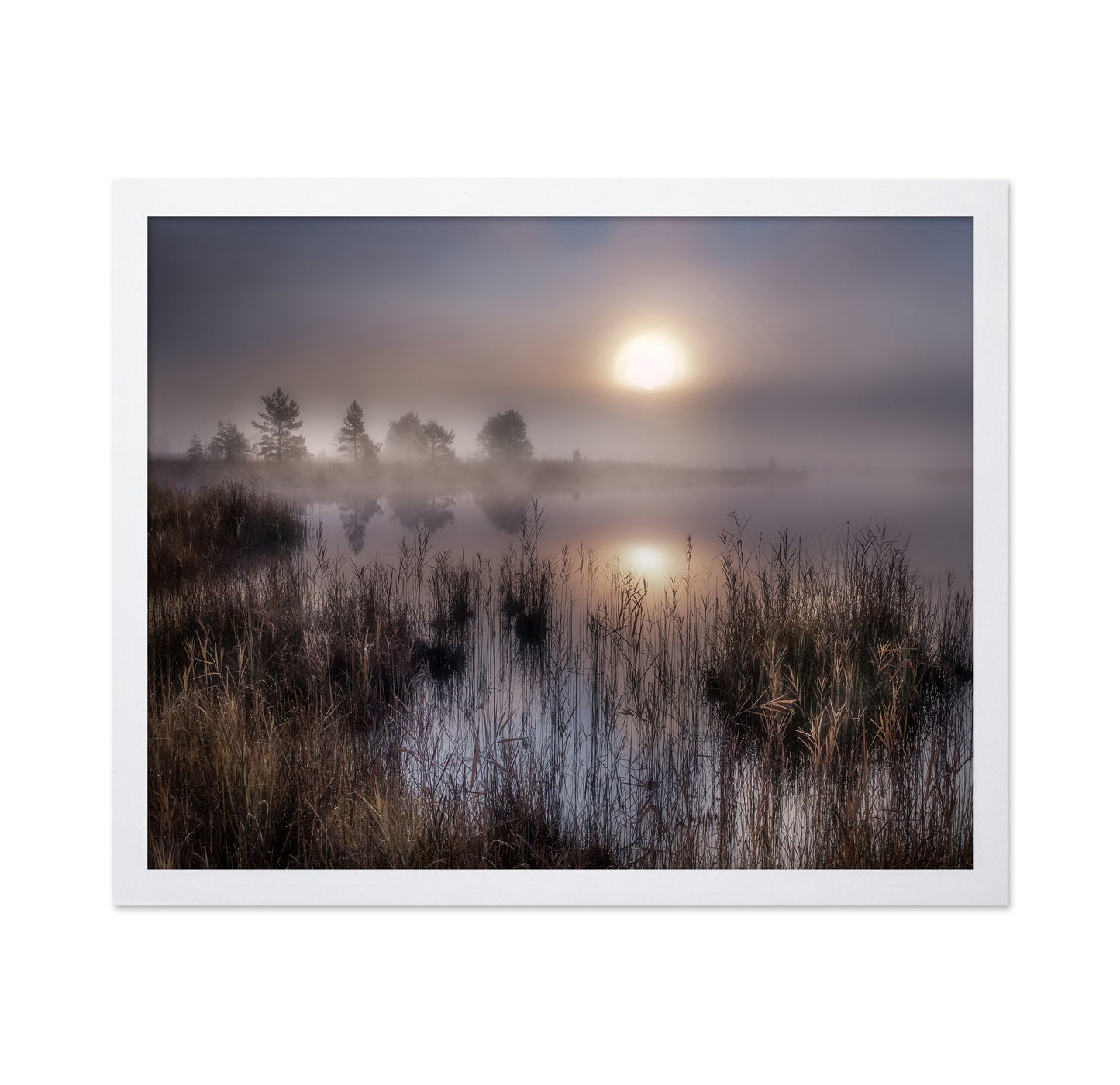 Misty Marsh Sunrise No1