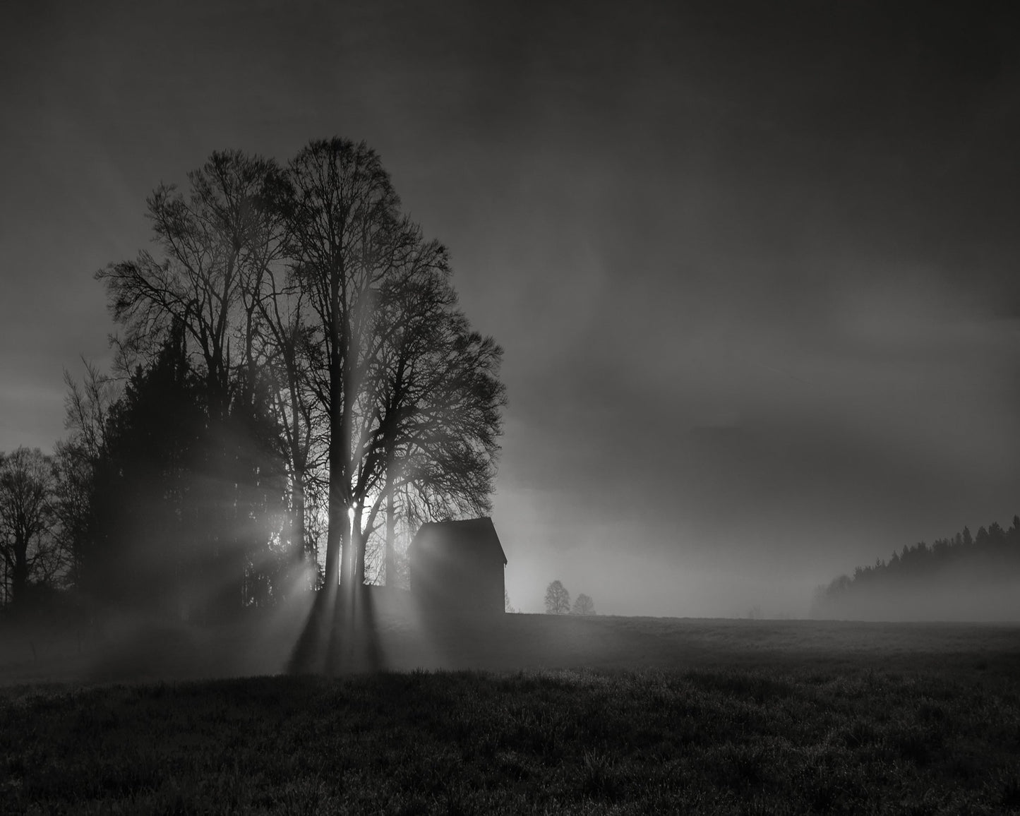 Silent Farm Dawn