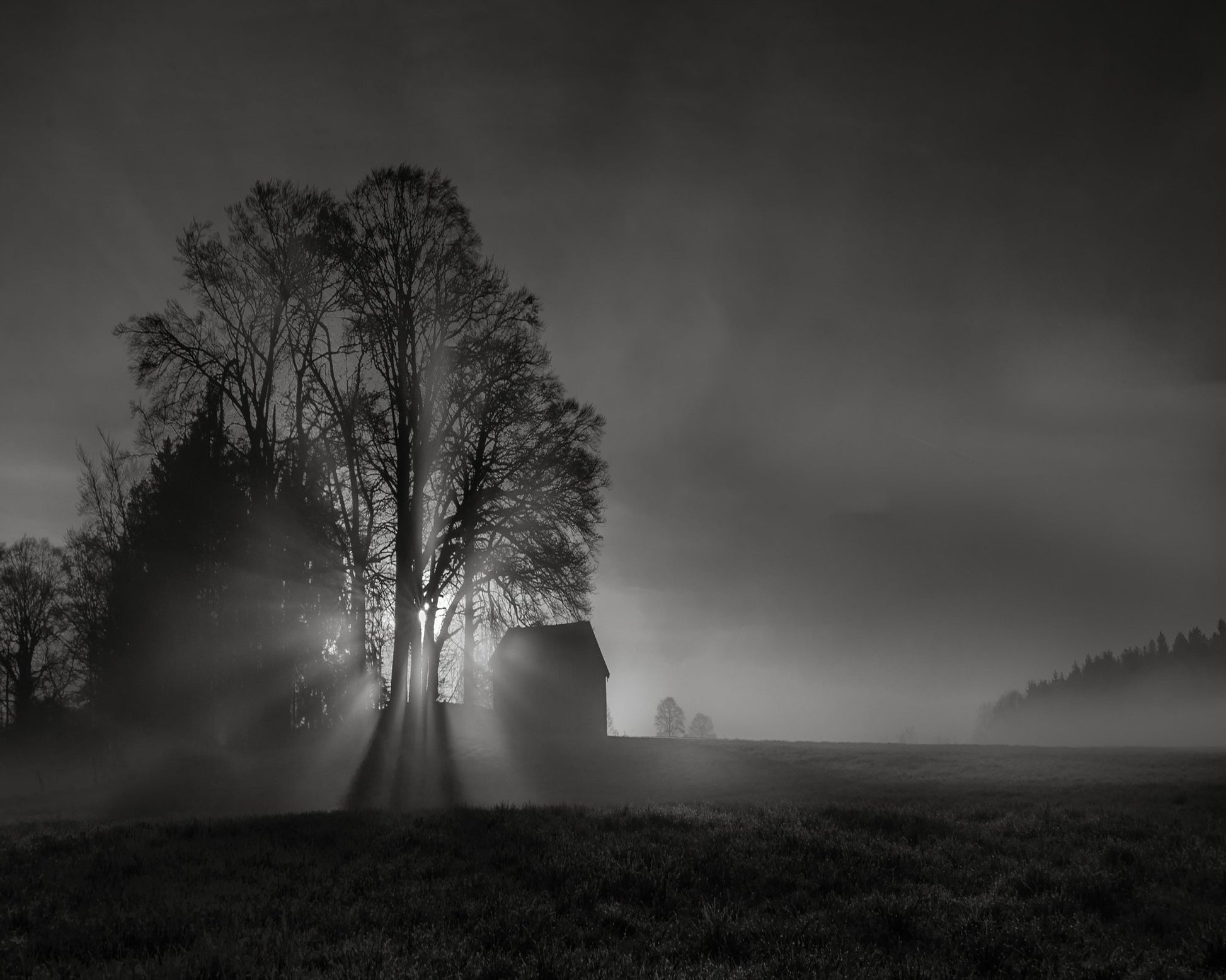 Silent Farm Dawn