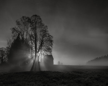 Silent Farm Dawn
