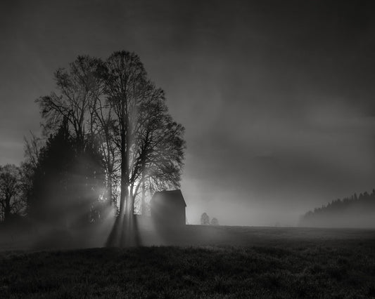Silent Farm Dawn