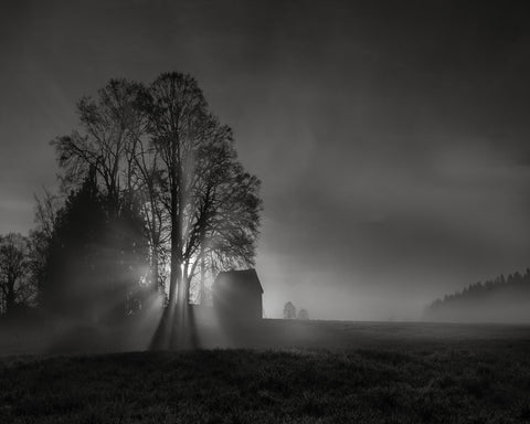 Silent Farm Dawn