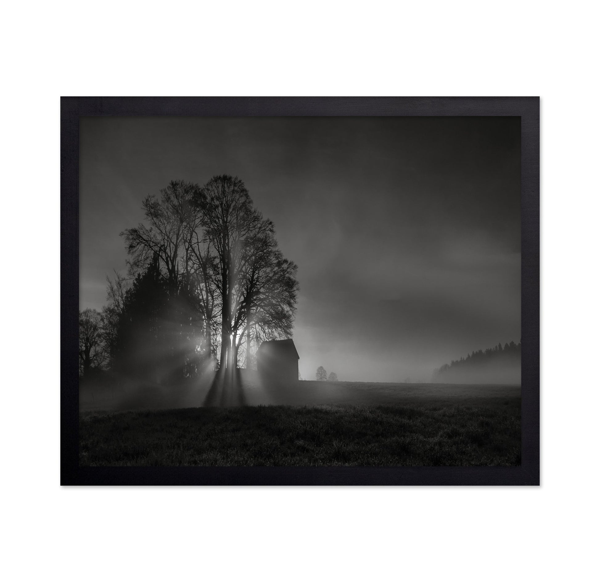 Silent Farm Dawn