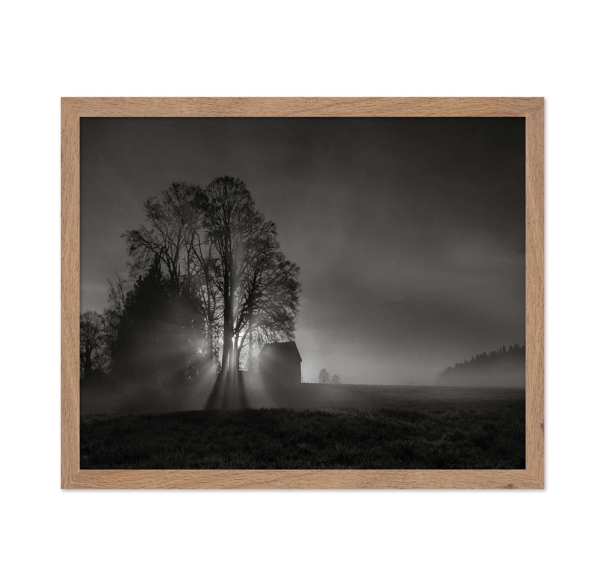 Silent Farm Dawn