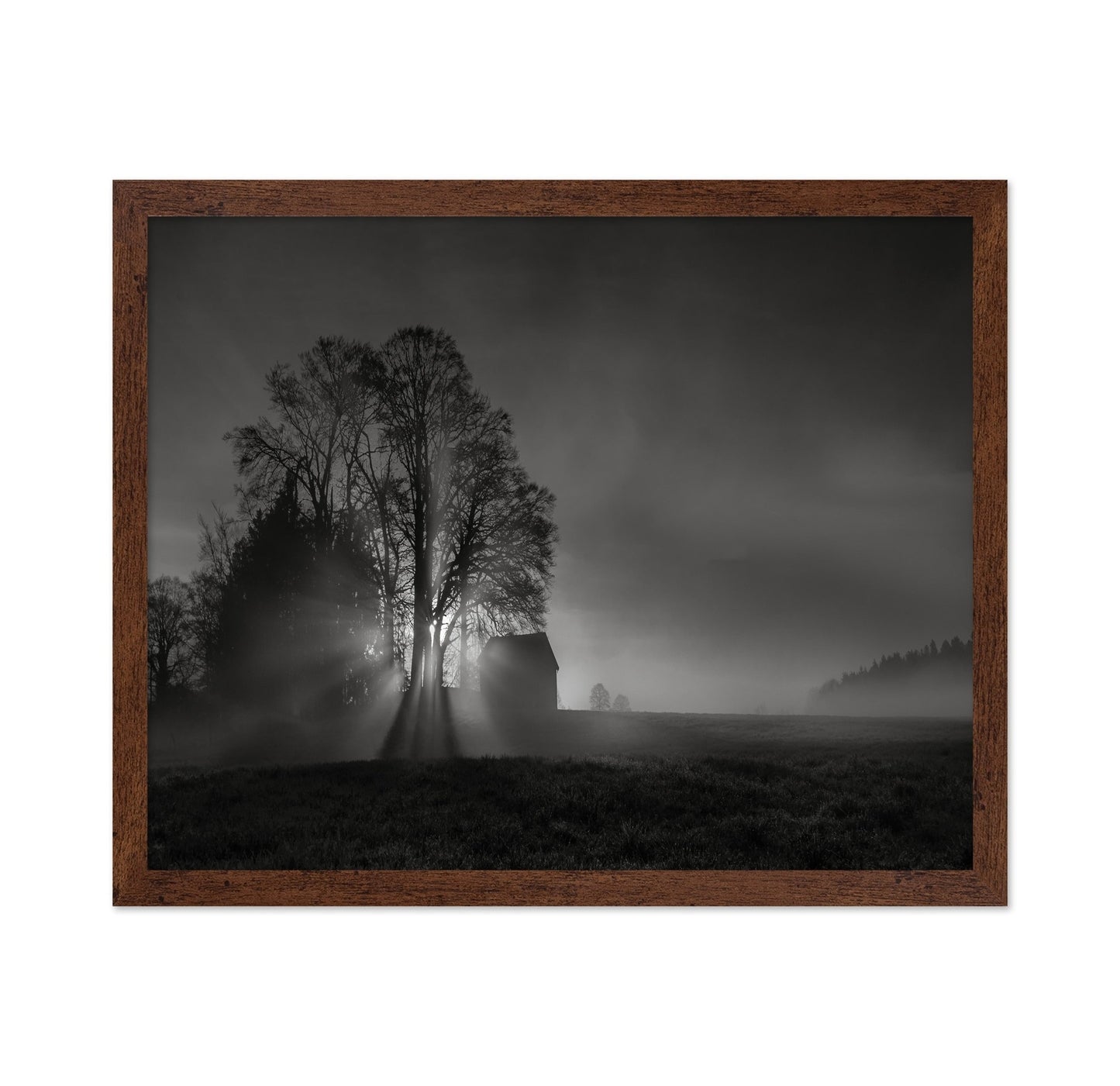 Silent Farm Dawn