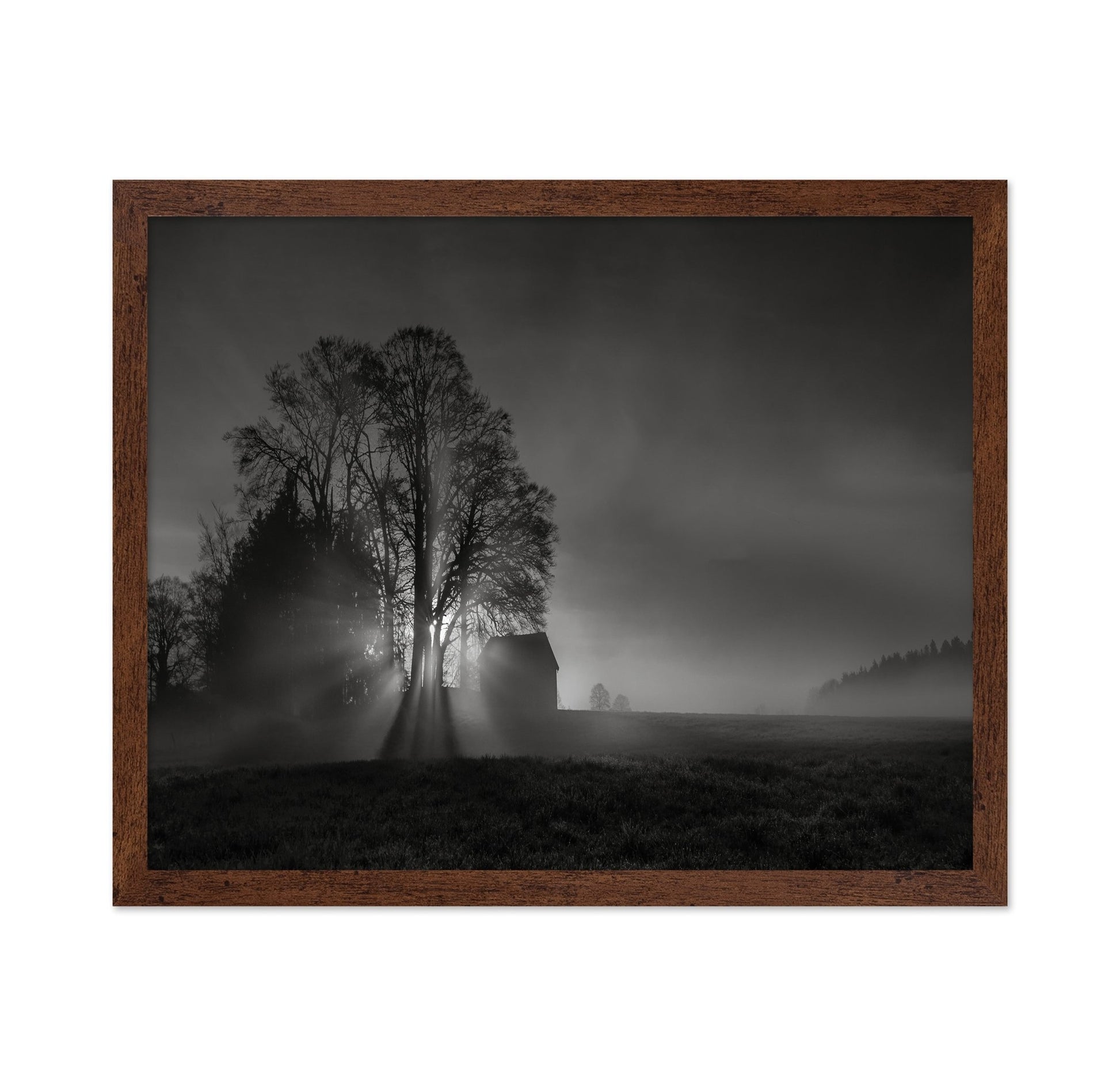 Silent Farm Dawn